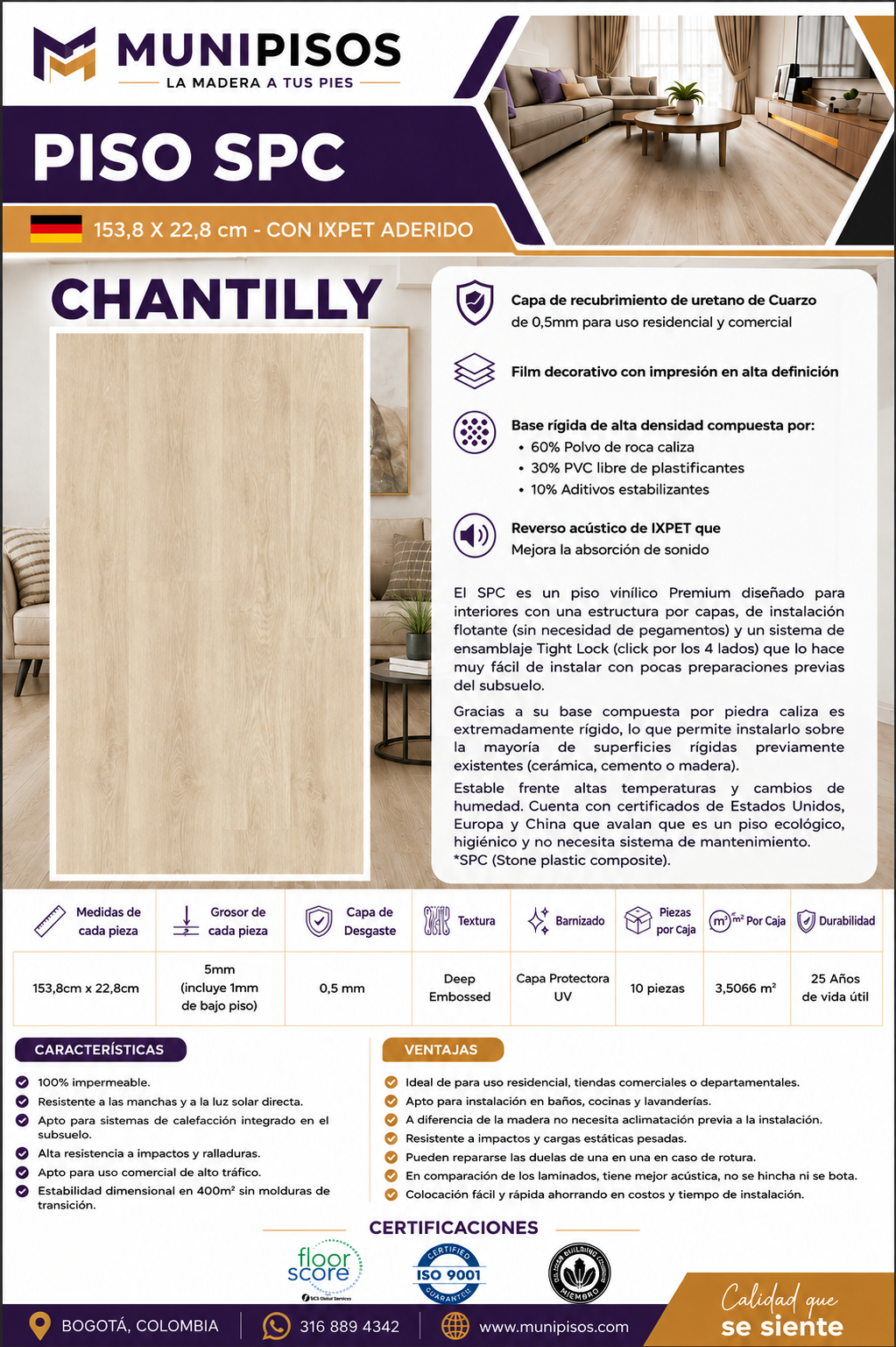 Chantilly - Image 4